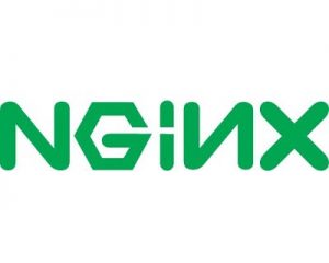 web server nginx
