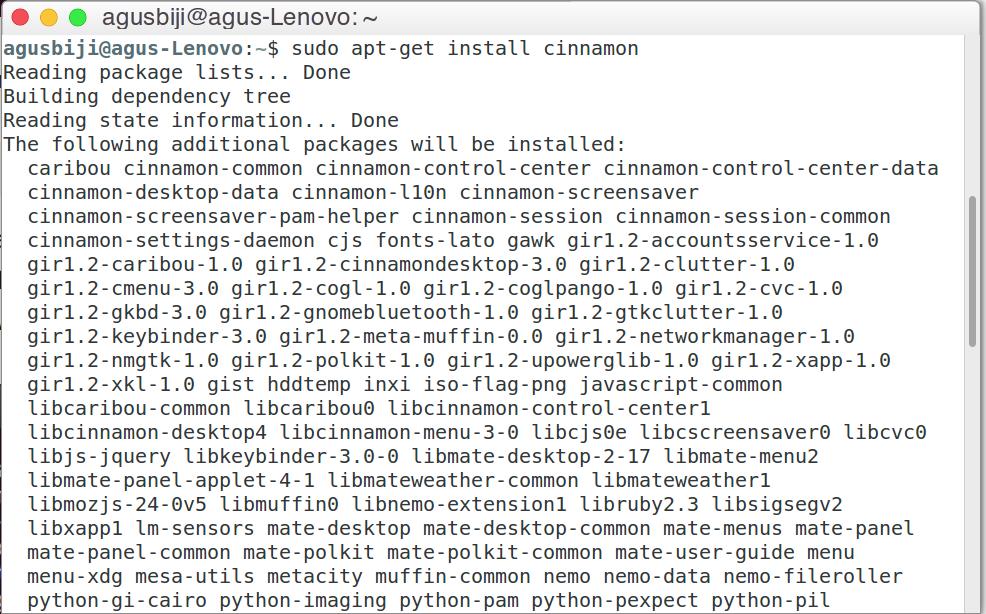 Install Desktop Environment Cinnamon di Ubuntu