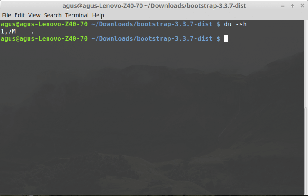 Cara Melihat Ukuran Direktori Melalui Terminal di Linux - Mr Agus