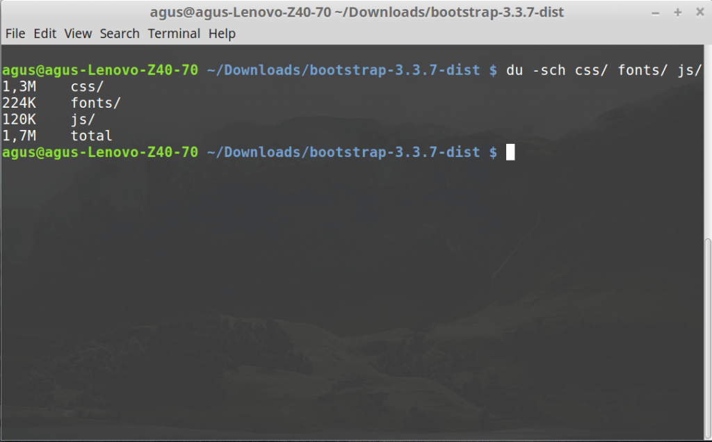 Cara Melihat Ukuran Direktori Melalui Terminal di Linux - Mr Agus